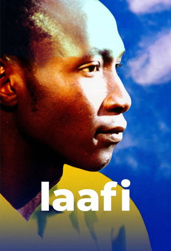 لافي