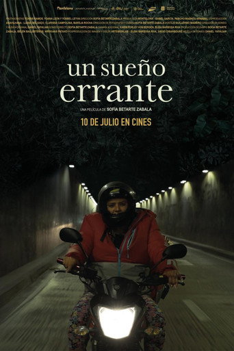 طلب خاطئ