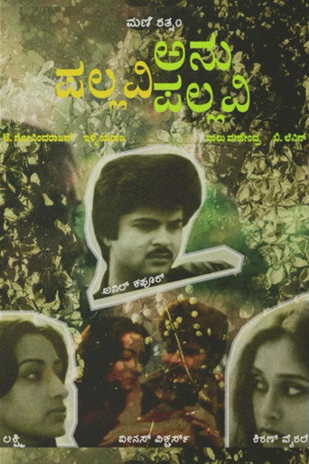 بالافي أنو بالافي