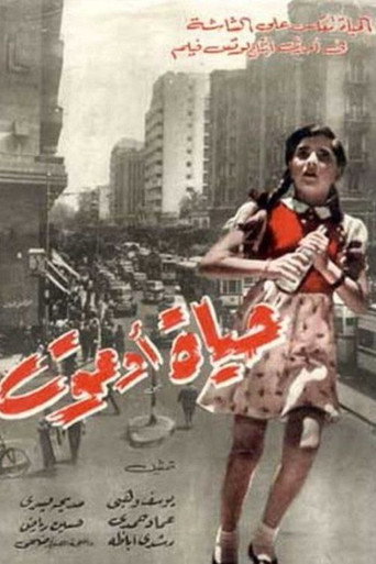 الحياة أو الموت