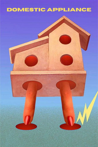 الكهربائية المنزلية
