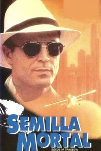 بذور المأساة