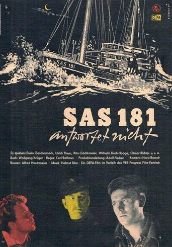 SAS 181 لا يوجد شيء