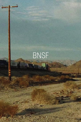 بي إن إس إف