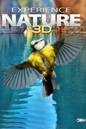 تجربة الطبيعة 3D
