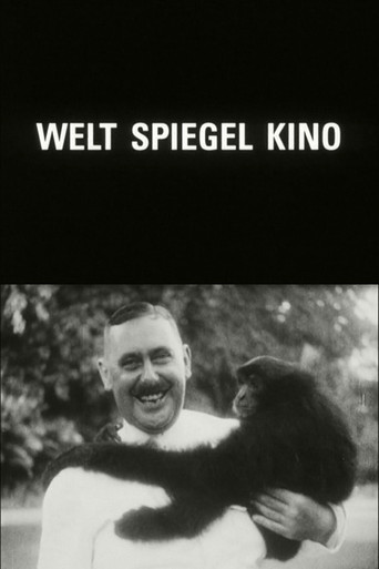 سينما المرآة العالمية