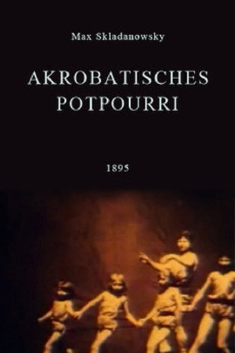 Akrobatisches مجففات