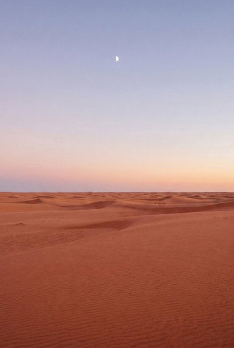 جينيسي