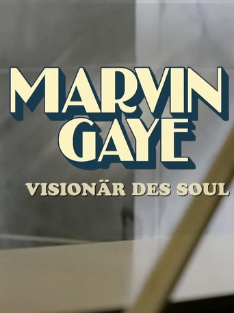 مارفن جاي - Visionär des Soul