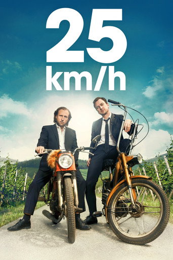 25 كم/ساعة