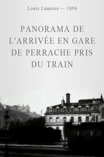 Panorama de l'arrivée en Gare de Perrache pris du Train