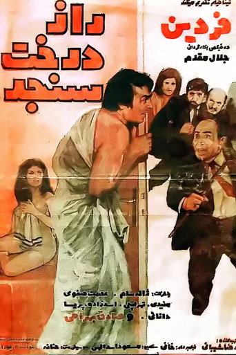 سر شجرة الزيتون