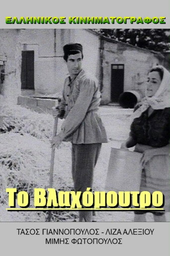 العميل كيتسوس يتصل بغاستونيس