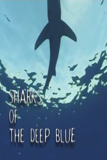 أسماك القرش في الأزرق العميق