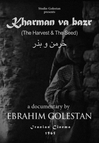 الحصاد والبذور