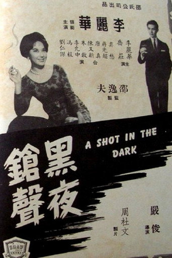 طلقة في الظلام