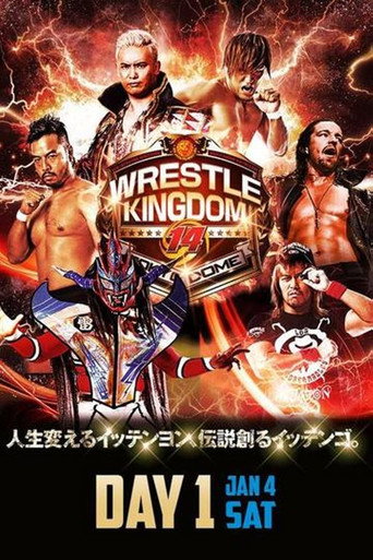 NJPW Wrestle Kingdom 14: الليلة الأولى