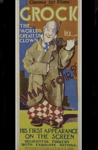 لماذا؟