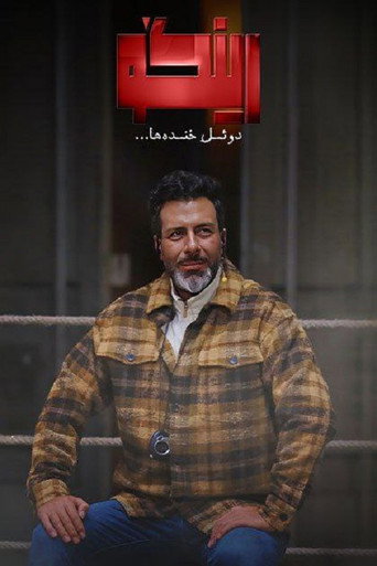 رينغو