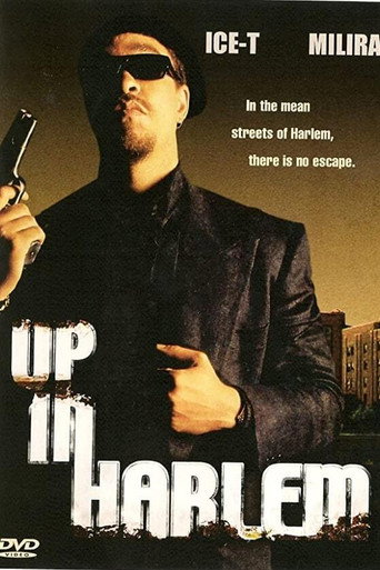 في هارلم