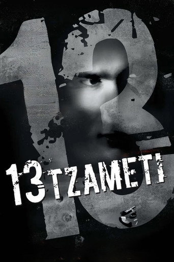 13 تزاميتي