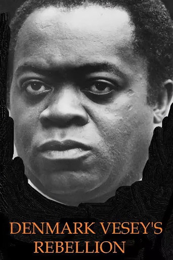 منزل منقسم: تمرد الدنمارك فيسي