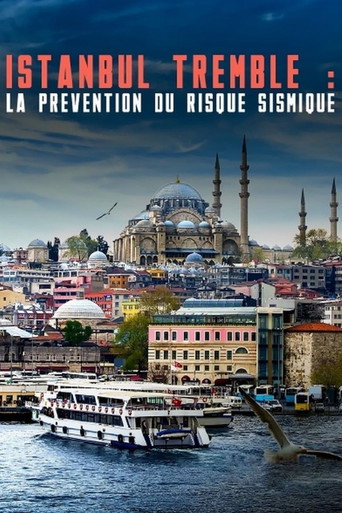 اسطنبول ترتجف: الوقاية من المخاطر السيزمية