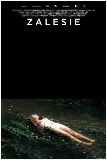فيرجن وودز