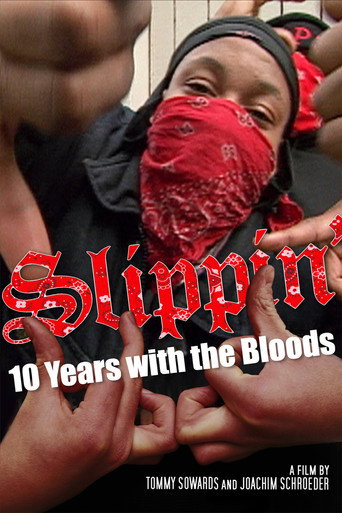 Slippin ': عشر سنوات مع الدماء