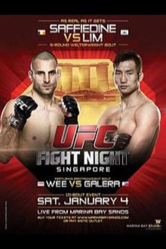 UFC Fight Night 34: صفي الدين ضد ليم