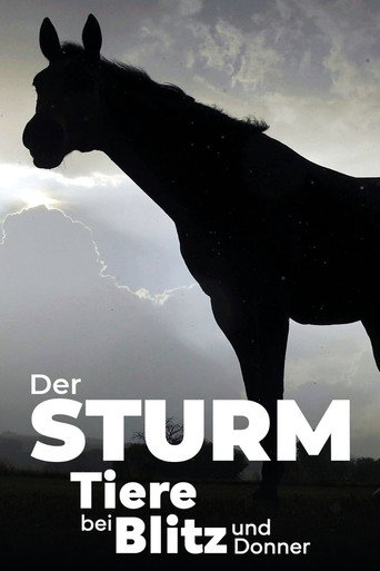 دير شتورم - Tiere bei Blitz und Donner
