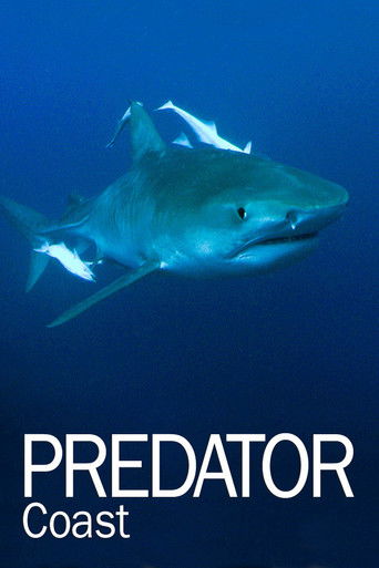 ساحل المفترس