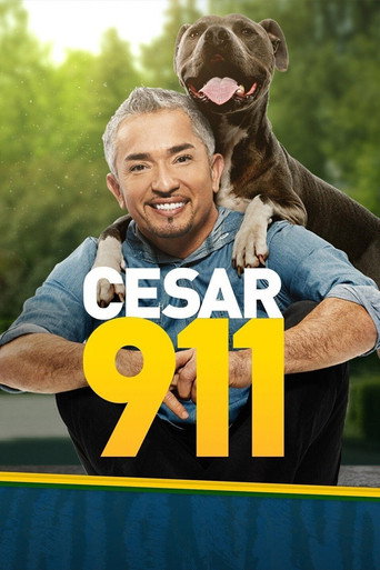 سيزار 911