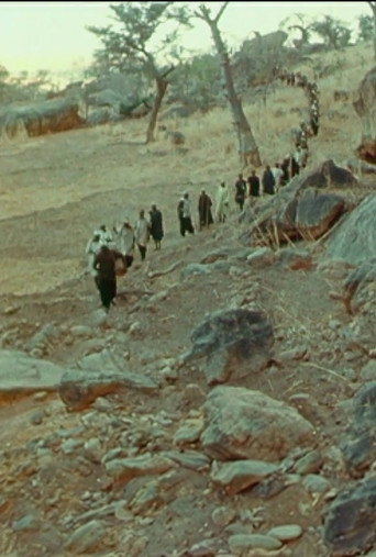 سيغي 1970: صخب أماني