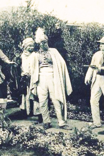 النمر الأبيض
