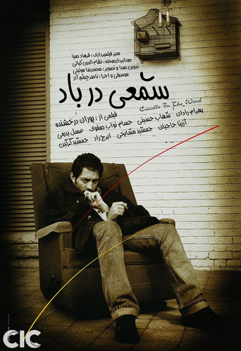 شمعة في مهب الريح