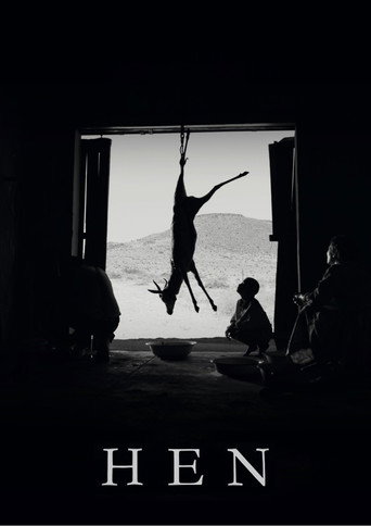 دجاجة