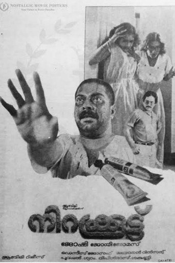 نيراكوتو