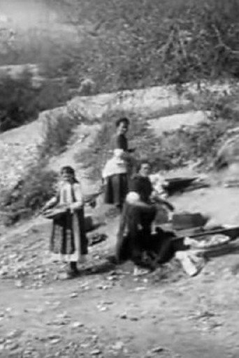الغسالات