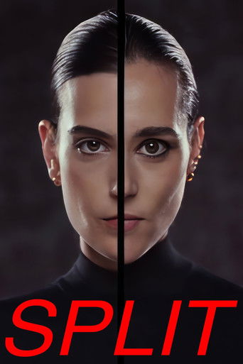 ينقسم