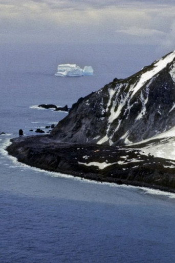 رحلة إلى Bouvetøya