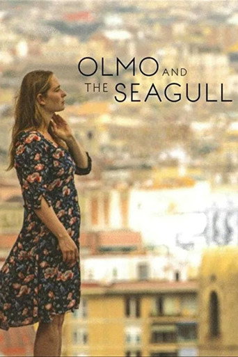 أولمو والنورس