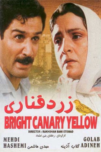 كناري اصفر