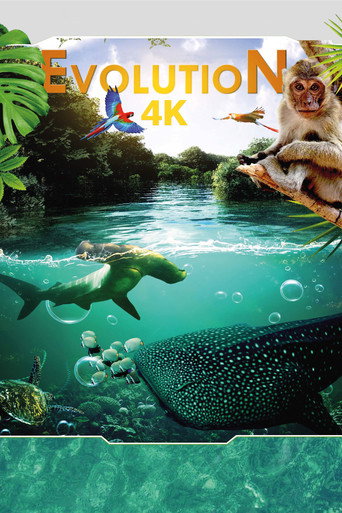 تطور 4K