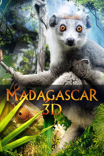 مدغشقر 3D