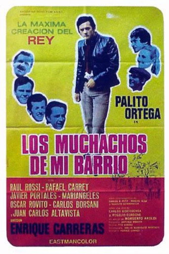 Los Muchachos de mi barrio