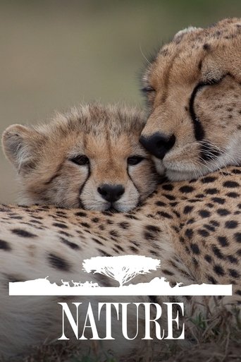 طبيعة