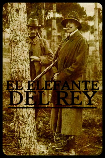 Elefante del rey