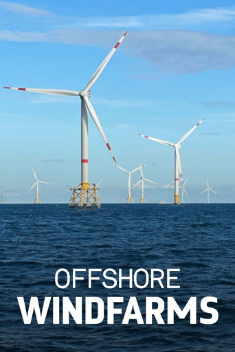 Windparks im Meer - فرصة أو خطر على الطبيعة؟