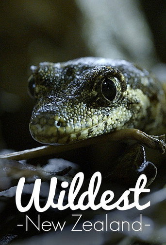 أعنف نيوزيلندا